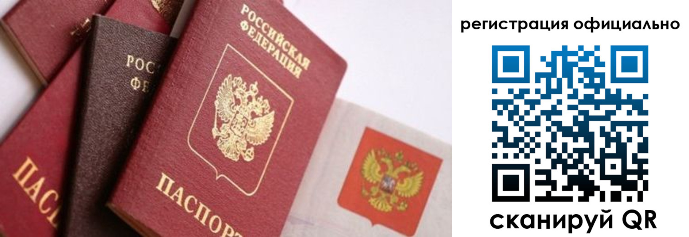 прописка гарантия в Михайлове